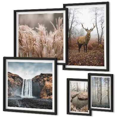 Bildergalerie-set für die wand Wildtierlandschaften