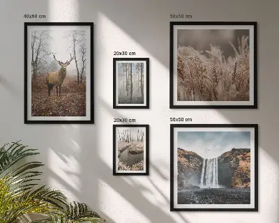Bildergalerie-Set für die Wand mit Wildtierlandschaften
