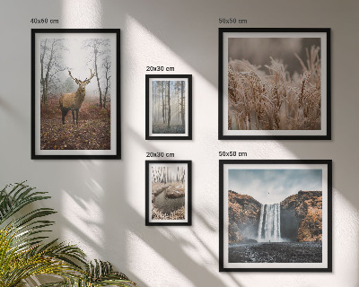 Bildergalerie-set für die wand Wildtierlandschaften