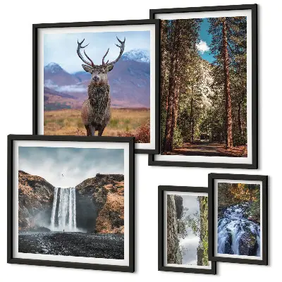 Modernes Wandbilderset mit Motiven von Landschaften, Wasserfällen und Natur