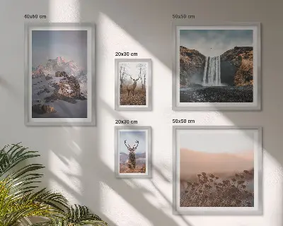 Bilderset fürs Sofa mit Berglandschaften und Wildtieren