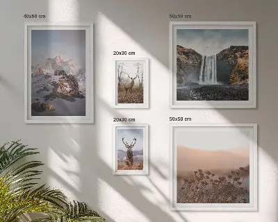 Bilderset fürs Sofa mit Berglandschaften und Wildtieren