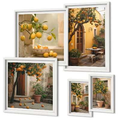 Bildergalerie-set für die wand Zitrusfrüchte im Garten