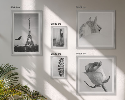 Modernes wandbilder-set Stilvolle Schwarz-Weiß-Bilder