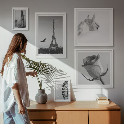 Modernes wandbilder-set Stilvolle Schwarz-Weiß-Bilder