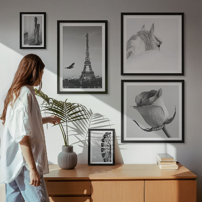 Modernes wandbilder-set Stilvolle Schwarz-Weiß-Bilder