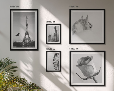 Modernes wandbilder-set Stilvolle Schwarz-Weiß-Bilder