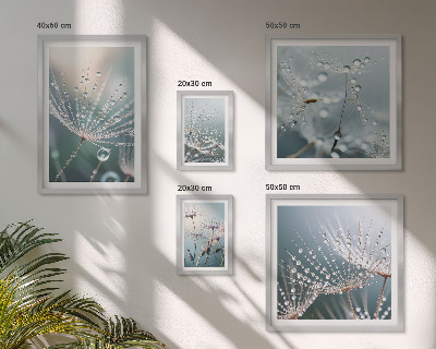Bildergalerie-set für die wand Tautropfen minimalistische Pflanzen