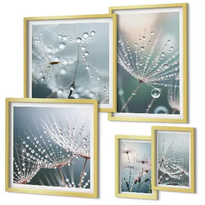 Bildergalerie-Set für die Wand minimalistische Pflanzenmotive