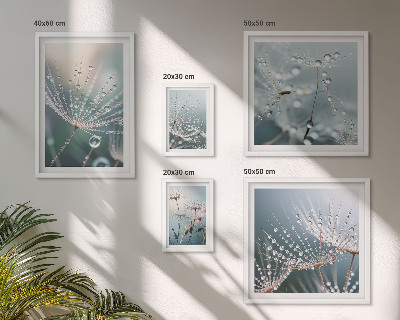 Bildergalerie-set für die wand Tautropfen minimalistische Pflanzen
