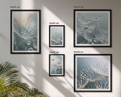 Bildergalerie-set für die wand Tautropfen minimalistische Pflanzen
