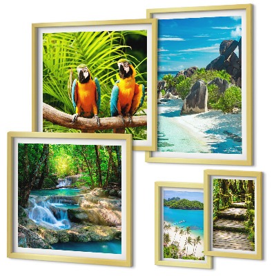 Modernes wandbilder-set Tropische Landschaften, Vögel, Wasserfälle