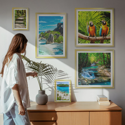 Modernes wandbilder-set Tropische Landschaften, Vögel, Wasserfälle