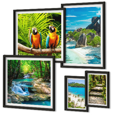 Modernes wandbilder-set Tropische Landschaften, Vögel, Wasserfälle
