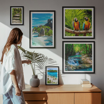 Modernes wandbilder-set Tropische Landschaften, Vögel, Wasserfälle