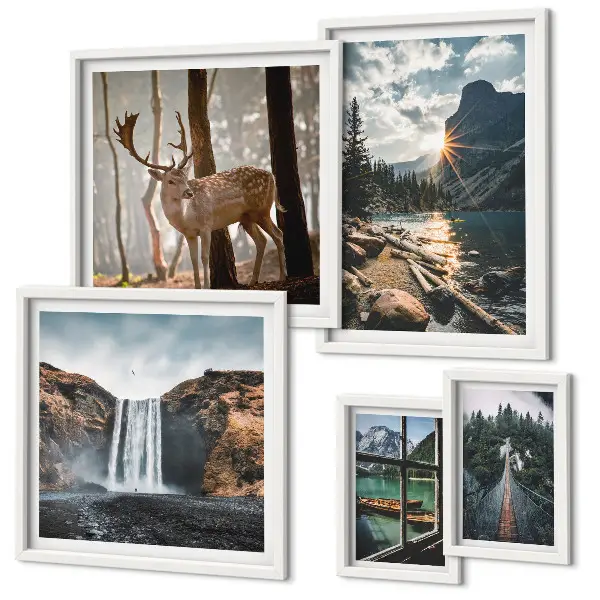 Modernes Wandbild-Set mit Motiven aus Landschaften, Natur, Wasserfällen und Fauna