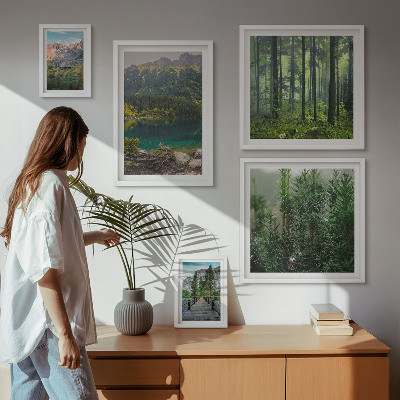 Bilderset fürs sofa Berglandschaften und Wälder