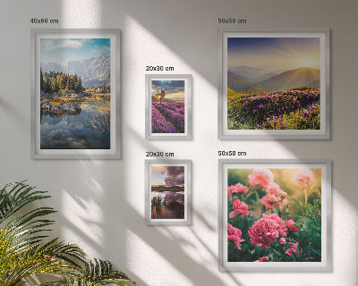 Modernes wandbilder-set Landschaften Natur Blumen Berge