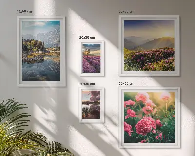 Modernes Wandbilder-Set mit Landschaften von Natur, Blumen und Bergen