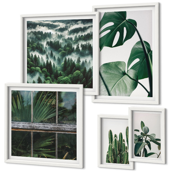 Bildergalerie-set für die wand Pflanzeninspirationen aus den Tropen