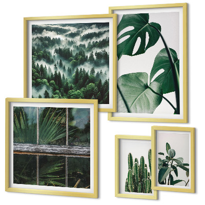 Bildergalerie-set für die wand Pflanzeninspirationen aus den Tropen