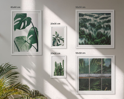 Bildergalerie-set für die wand Pflanzeninspirationen aus den Tropen