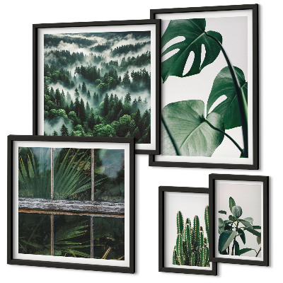 Bildergalerie-set für die wand Pflanzeninspirationen aus den Tropen