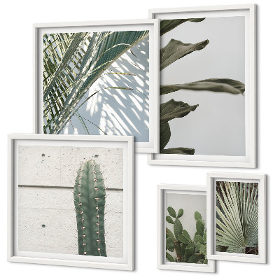 Bildergalerie-set für die wand Moderne Pflanzenakzente