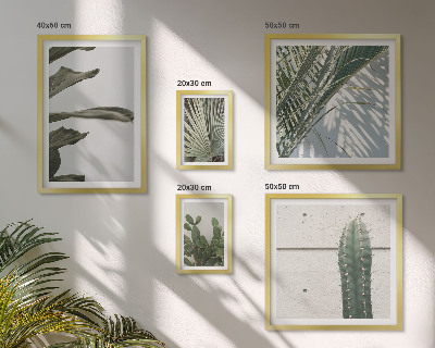 Bildergalerie-set für die wand Moderne Pflanzenakzente