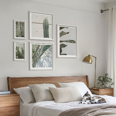 Bildergalerie-set für die wand Moderne Pflanzenakzente