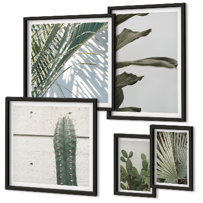 Bildergalerie-set für die wand Moderne Pflanzenakzente