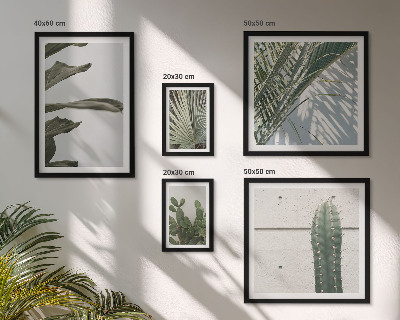 Bildergalerie-set für die wand Moderne Pflanzenakzente