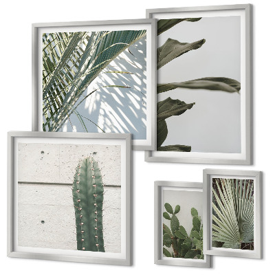 Bildergalerie-set für die wand Moderne Pflanzenakzente