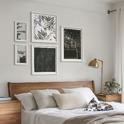 Bildergalerie-set für die wand Pflanzenmotive grüner Oasen