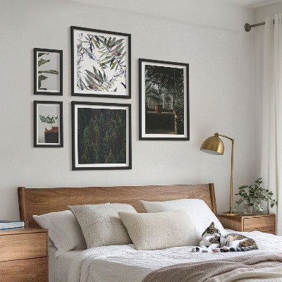 Bildergalerie-set für die wand Pflanzenmotive grüner Oasen