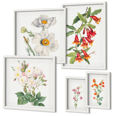 Modernes wandbilder-set Blumenbotanische Illustrationen