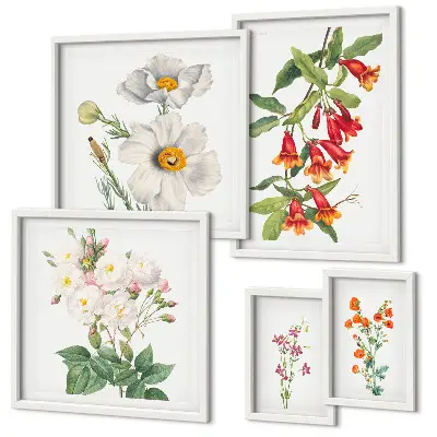 Modernes Wandbilder-Set mit botanischen Blumenillustrationen