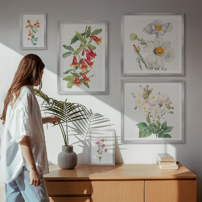 Modernes wandbilder-set Blumenbotanische Illustrationen