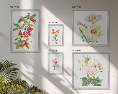 Modernes wandbilder-set Blumenbotanische Illustrationen