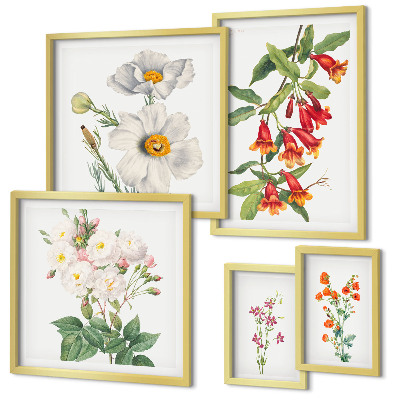 Modernes wandbilder-set Blumenbotanische Illustrationen
