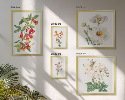 Modernes wandbilder-set Blumenbotanische Illustrationen