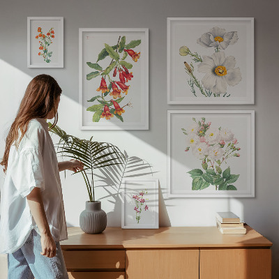 Modernes wandbilder-set Blumenbotanische Illustrationen