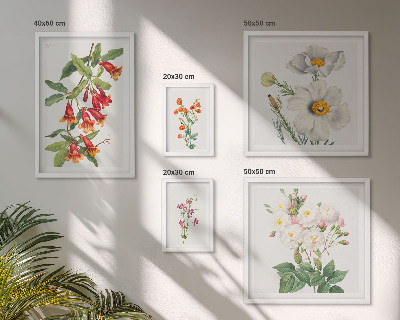 Modernes wandbilder-set Blumenbotanische Illustrationen
