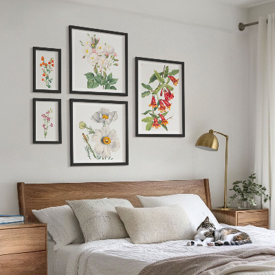 Modernes wandbilder-set Blumenbotanische Illustrationen