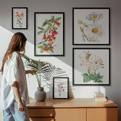 Modernes wandbilder-set Blumenbotanische Illustrationen
