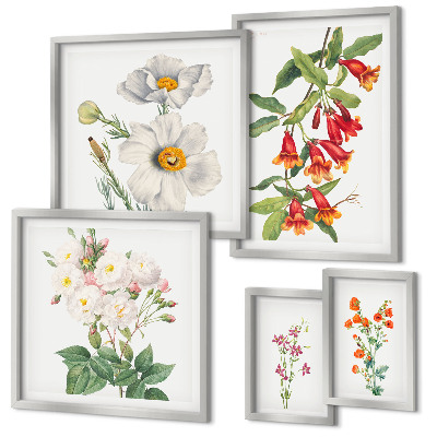 Modernes wandbilder-set Blumenbotanische Illustrationen