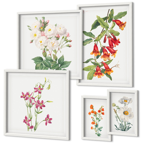 Bilderset fürs sofa Florale botanische Motive