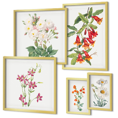 Bilderset fürs sofa Florale botanische Motive