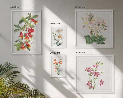 Bilderset fürs sofa Florale botanische Motive