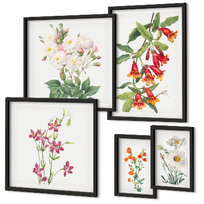 Bilderset fürs sofa Florale botanische Motive
